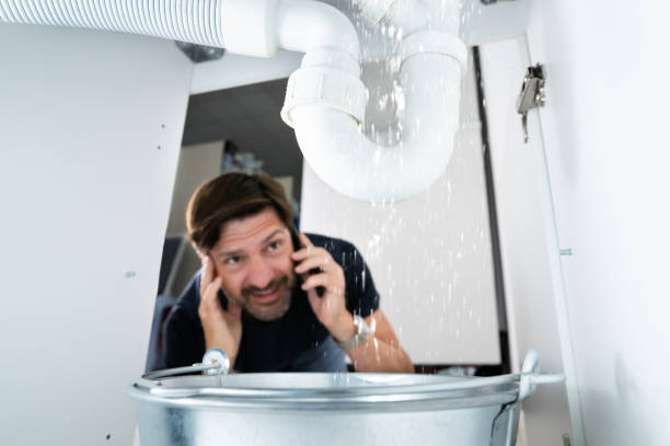 Best Local Plumber Services  in Apple Valley, UT